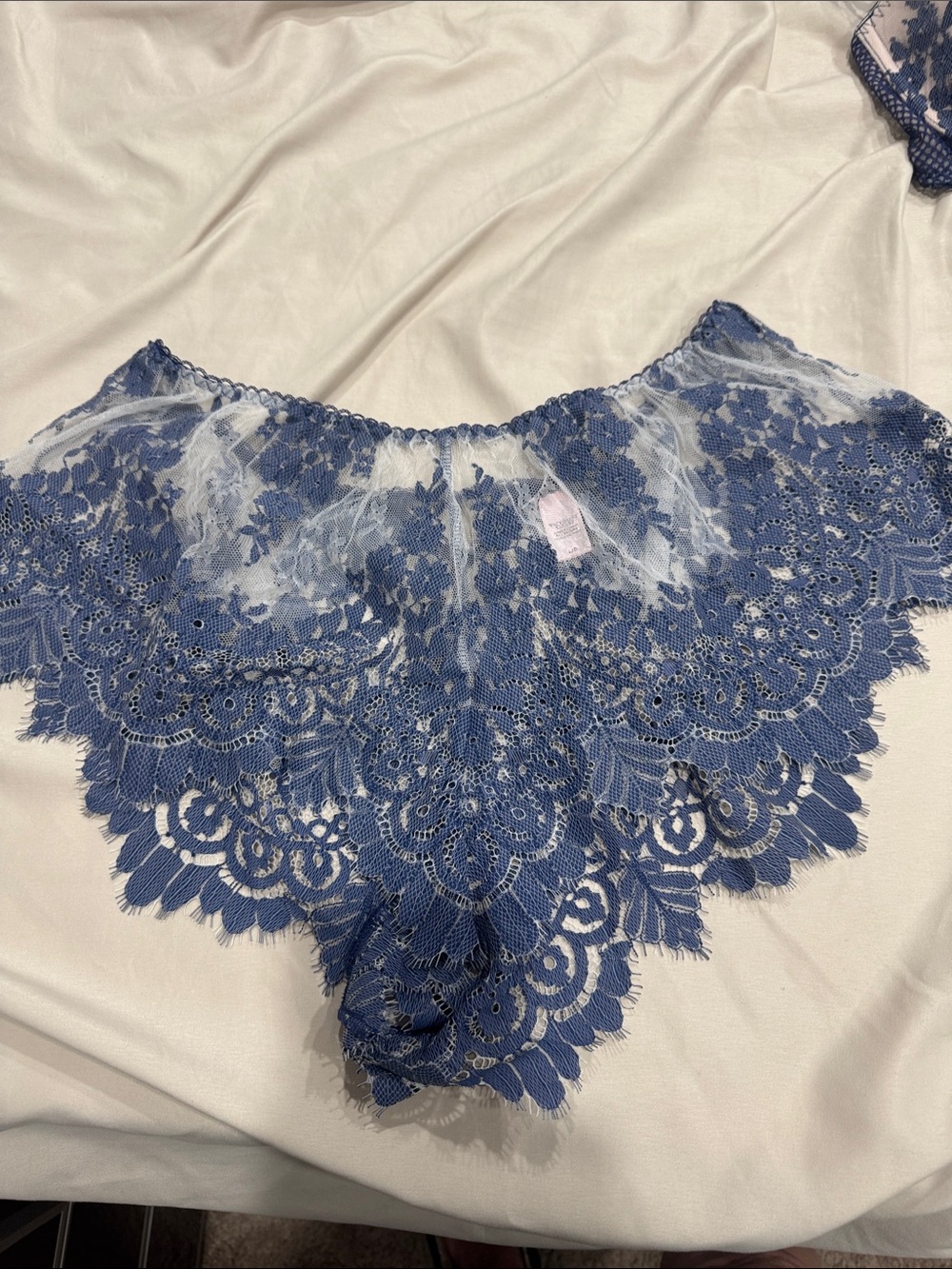 Lace Cheeky Bikini Briefs in Dusty Blue
B15